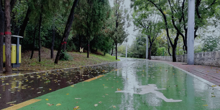 雨天公园步行道