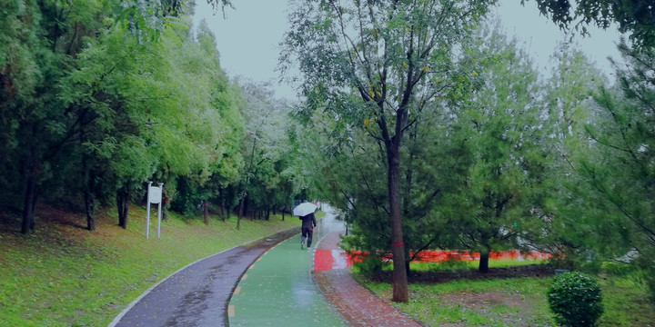 雨中散步公园