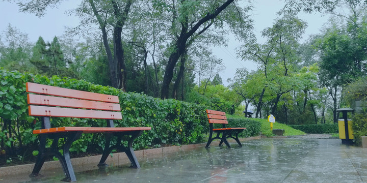 下雨天公园