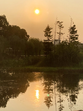 松雅湖日出