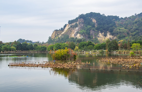 山水风景