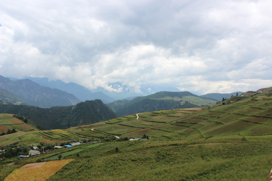 美丽景色