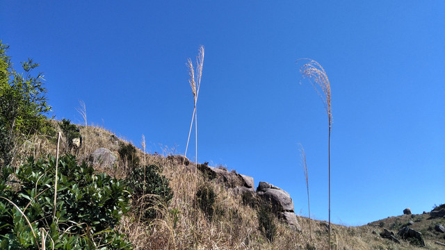 美丽景色