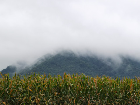 云雾山峦