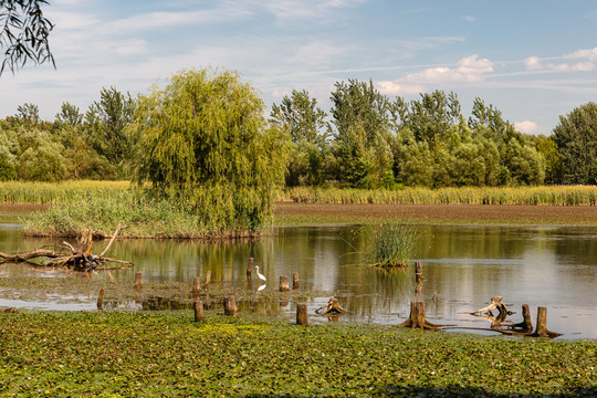 沈阳蒲河景观道湿地水岸生态自然