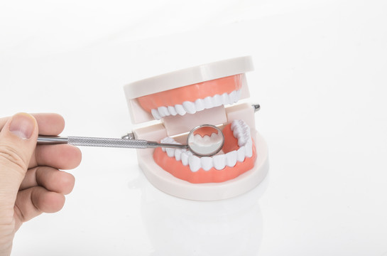 牙齿模型和牙科器械