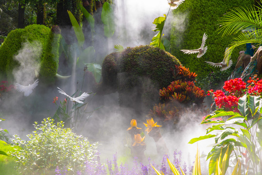 云雾花园
