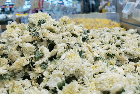 贡菊