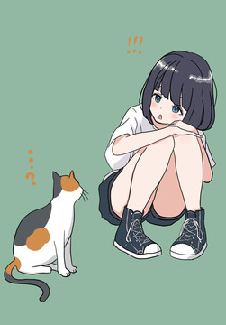 猫咪