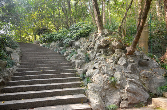 石台阶