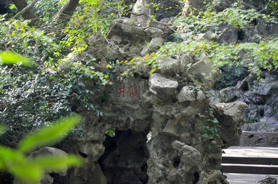 龙井泉假山石