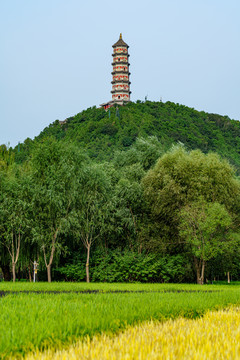 玉峰塔