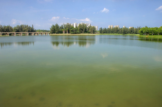 五里桥文化公园水泽水面