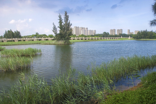 五里桥文化公园湿地水泽