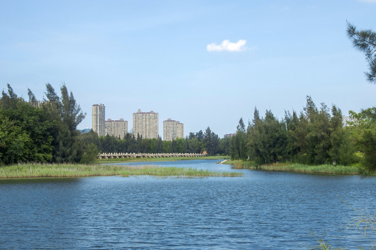 五里桥文化公园水泽自然景观