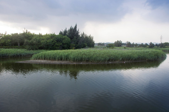 湿地自然景观