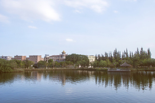 安海乡村风景