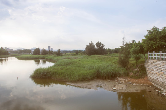 五里桥湿地风景