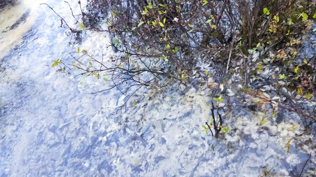 九寨沟中碧蓝的湖水