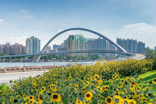 广州海心桥风景