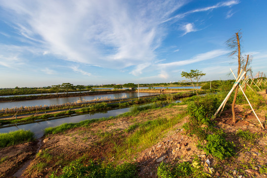 茅尾海红树林自然保护区鱼塘