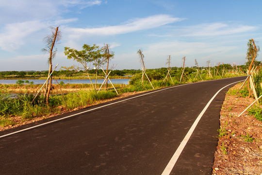 茅尾海红树林自然保护区海上公路