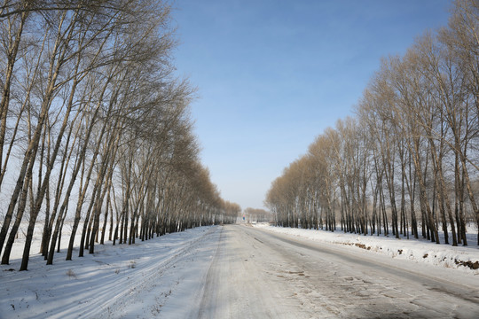 下雪的冬天的路