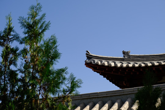 雷音寺