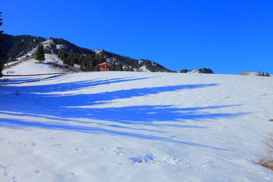 松林雪景