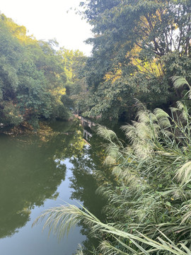 乡间河流