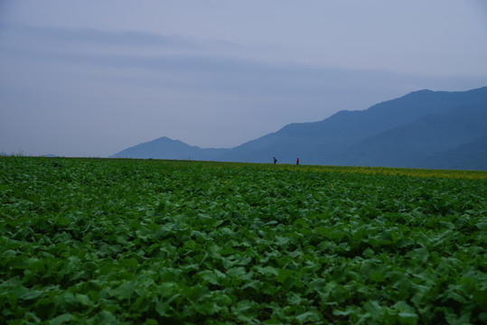 辽宁丹东宽甸绿江村自然风光