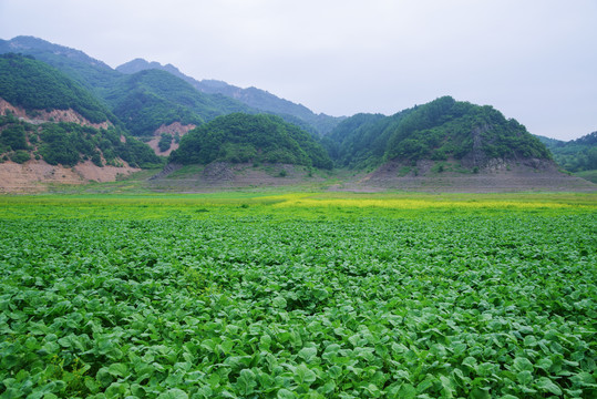 辽宁丹东宽甸绿江村自然风光