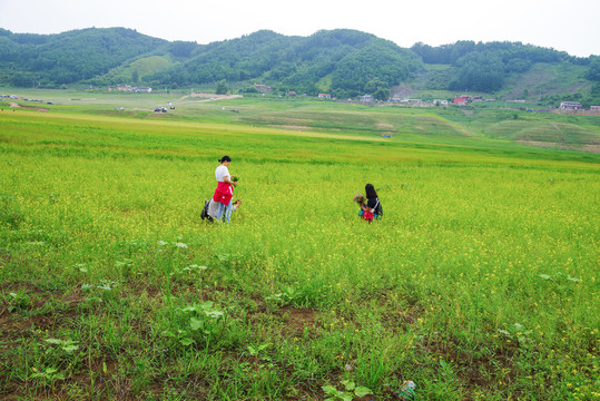 辽宁丹东宽甸绿江村风光