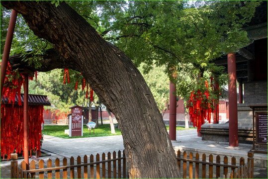 隆兴寺