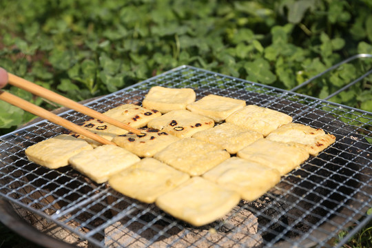 美食手撕豆腐大方臭豆腐