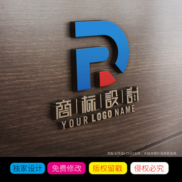 DR拼音字母LOGO