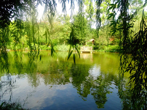 自然装饰风景湖水