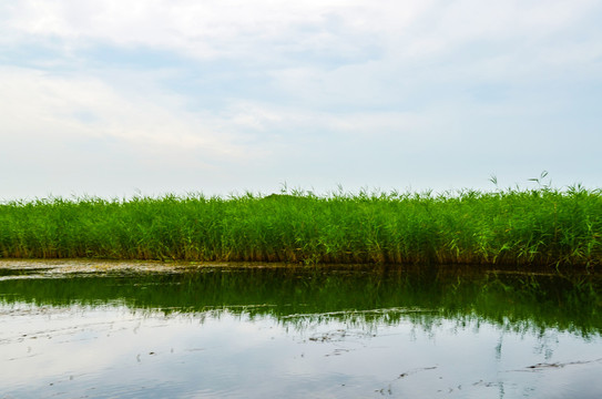 满洲里二卡湿地自然保护区