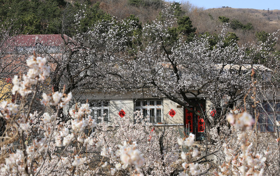 乡村风景画