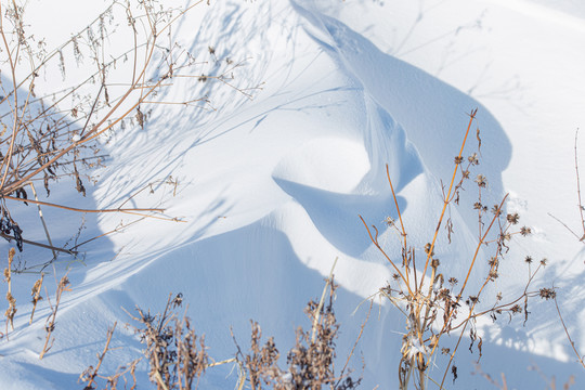 雪地