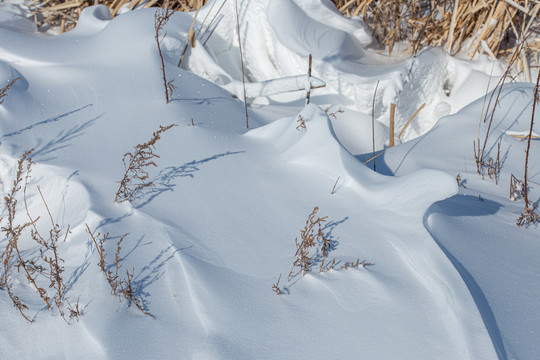 雪地