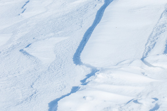 雪景