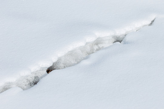 雪地