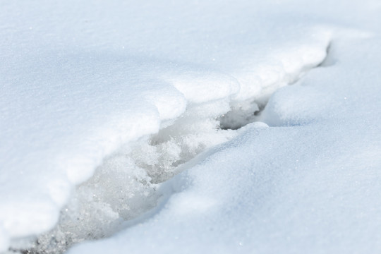 雪地