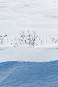 雪地