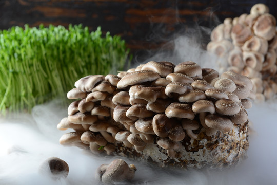 火锅蘑菇