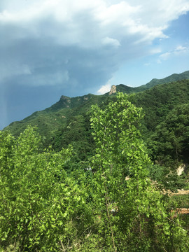 山林