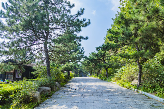 中国天津蓟县盘山风景区风光