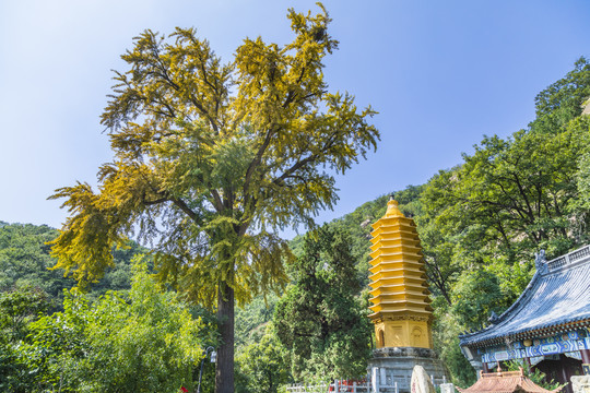 中国天津蓟县盘山风景区风光