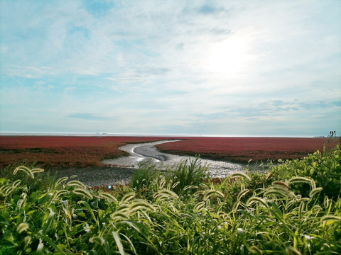 红海滩